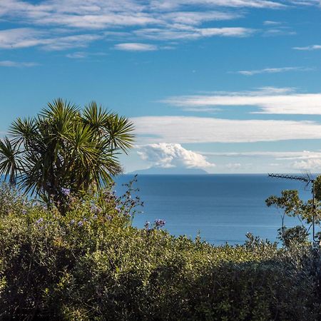 Belle View - Stay Waiheke Onetangi Exterior foto